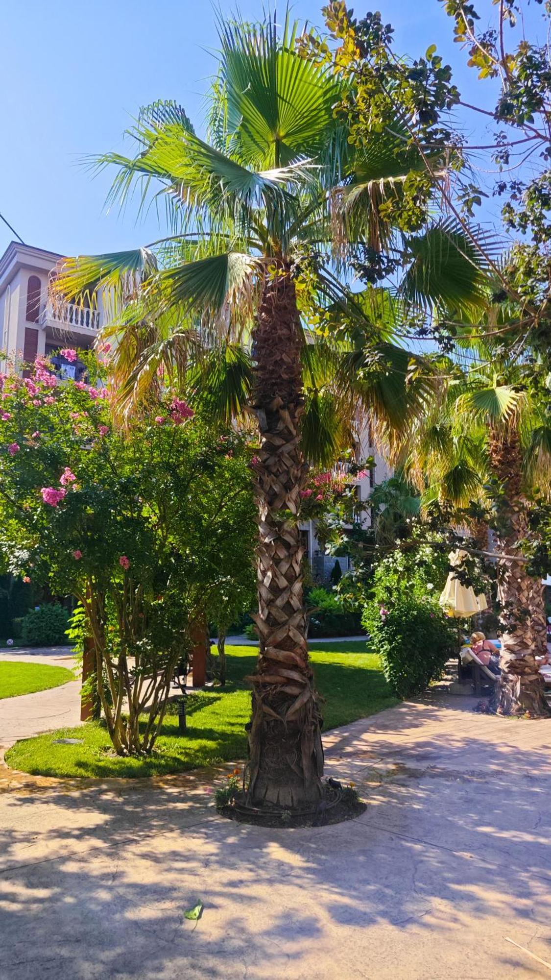 Attractive Family Apartment In Sunny Beach Cascadas Family Resort Dış mekan fotoğraf